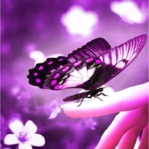 Meet your Posher, May